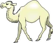 free vector Camel Vector 6