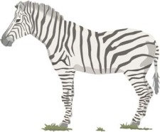 free vector Zebra 2