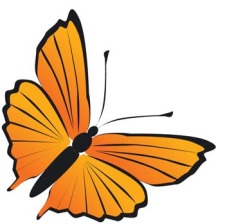 free vector Butterfly Vector 20