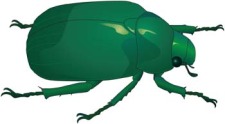 free vector Bugs 9