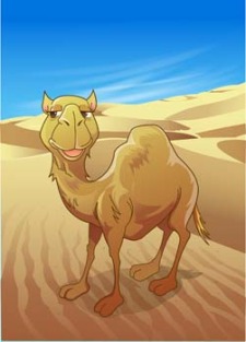 free vector Camel Vector 14