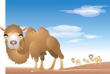 free vector Camel Vector 13