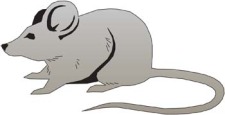 free vector Mouse Vector 13
