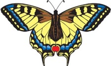 free vector Butterfly Vector 7