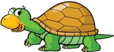 free vector Turtle 9