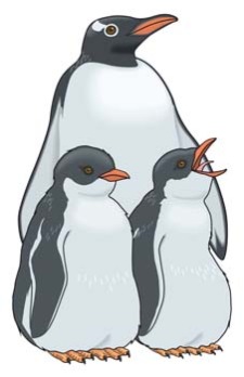 free vector Penguin 4