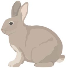 free vector Rabbit 9