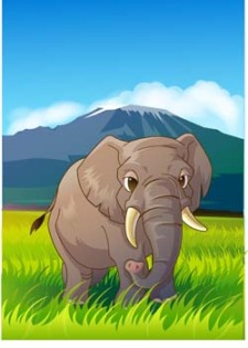 free vector Elephant 12