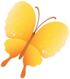 free vector Butterfly Vector 32