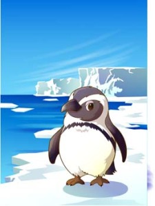 free vector Penguin 6