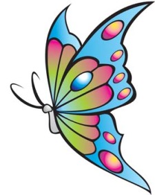 free vector Butterfly Vector 15