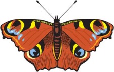 free vector Butterfly Vector 8