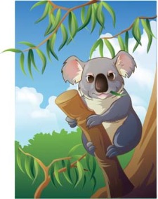 free vector Koala 3