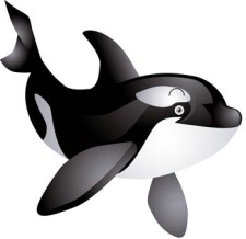 free vector Killer whale 2