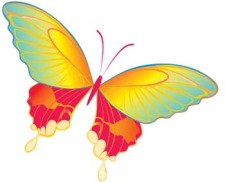 free vector Butterfly Vector 19