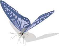 free vector Butterfly Vector 13