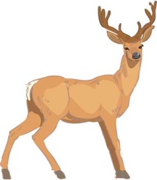 free vector Deer 1