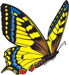 free vector Butterfly Vector 3