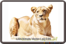 free vector 1. Female Lion Vector