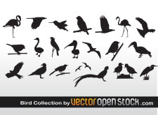 free vector Bird Collection