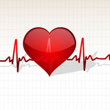 free vector Heart with Life Line Vector