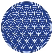 free vector Flower of Life