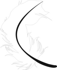 free vector Feather Vector