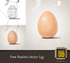 free vector Free Realistic Vector Egg