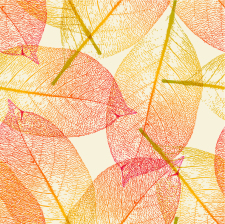 free vector Leaf Autumn