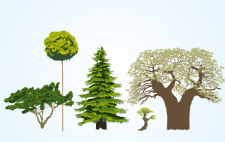 free vector Vector Tree Collection