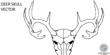 free vector Deer Skull Vector