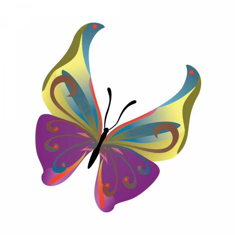 Download Colorful butterflies (128023) Free EPS Download / 4 Vector