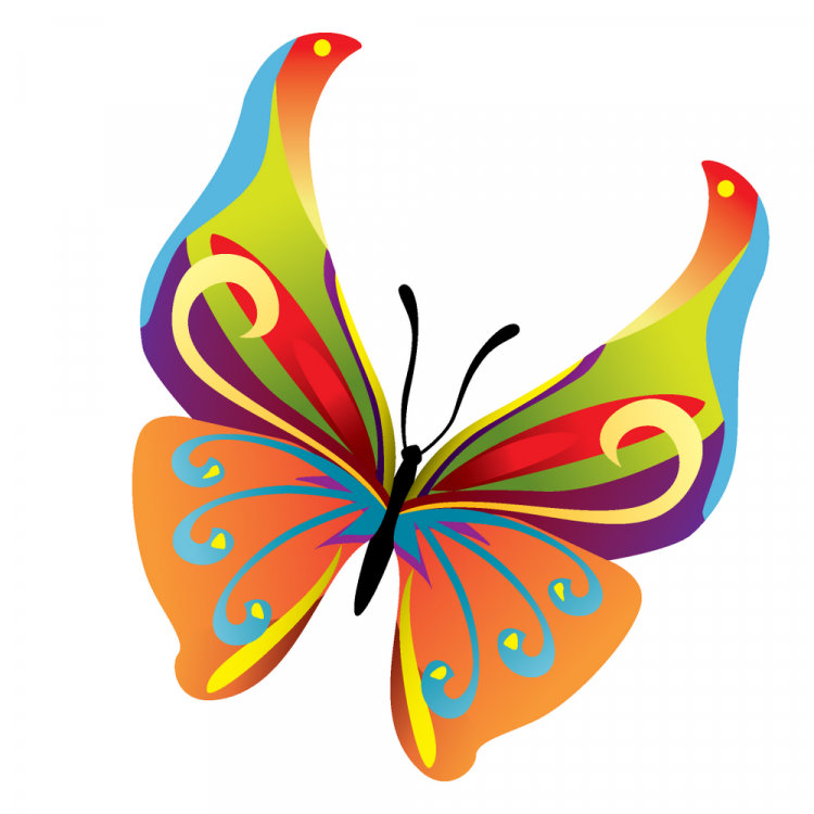 Colours butterfly (28488) Free EPS Download / 4 Vector