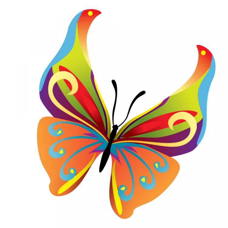 Download Colours butterfly (28488) Free EPS Download / 4 Vector