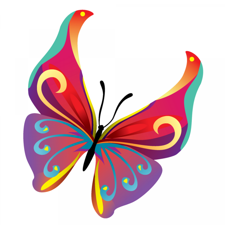 free colorful butterfly clipart - photo #50