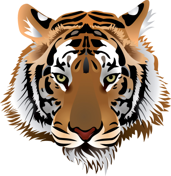 free vector 3 tiger head vector