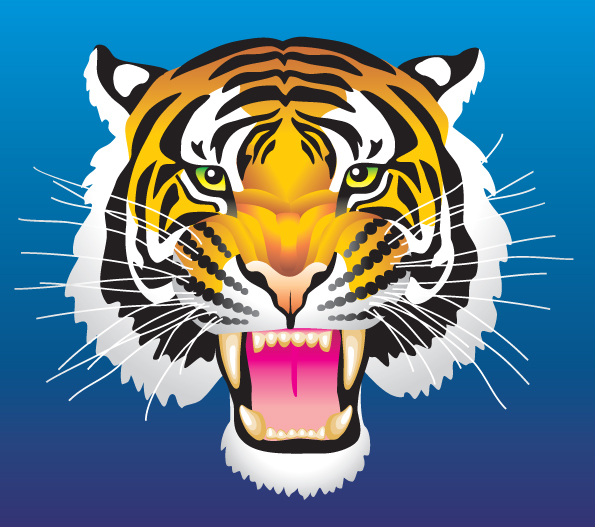tiger head vector free download