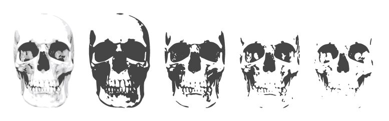 free vector 6 Layer Skull