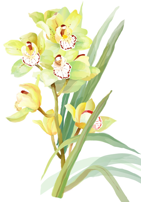 free vector 7 elegant watercolor flowers vector