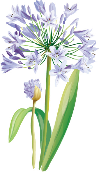 free vector 7 elegant watercolor flowers vector