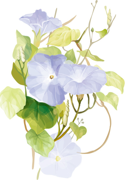 free vector 7 elegant watercolor flowers vector