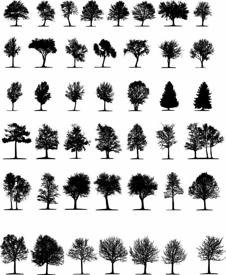 Download A variety of trees silhouette (26805) Free AI Download / 4 ...