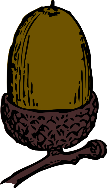 camping acorn clipart