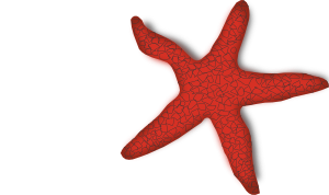 free vector Addon Red Starfish clip art