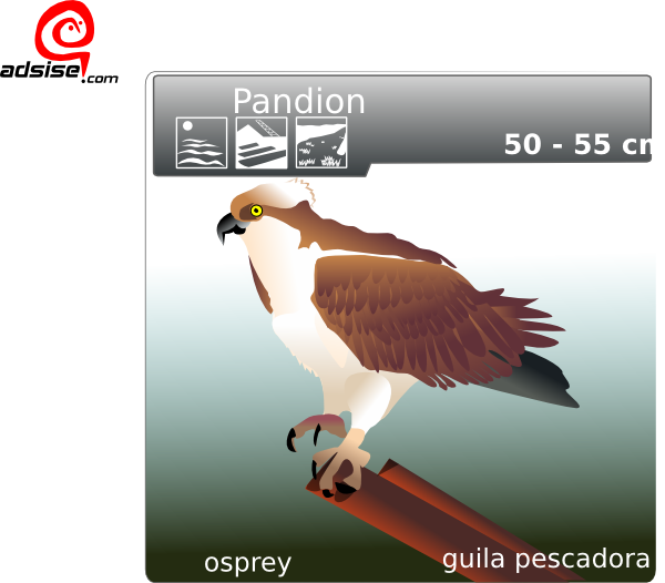 free vector Aguila Pescadora clip art