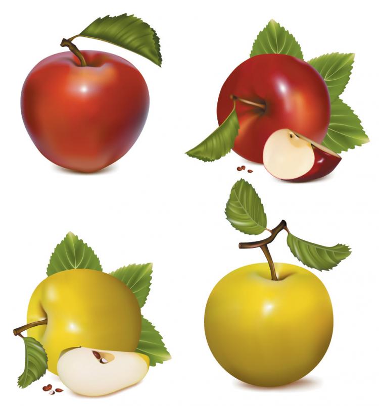 free vector Ai drawing lifelike fruits vector