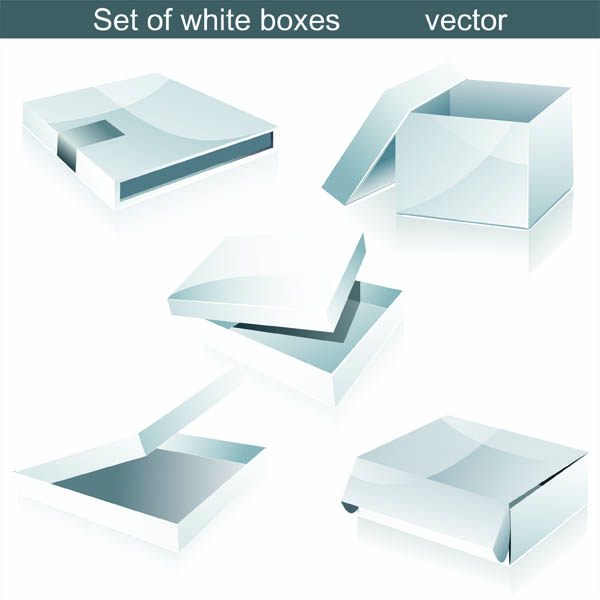 free vector And carton box template vector