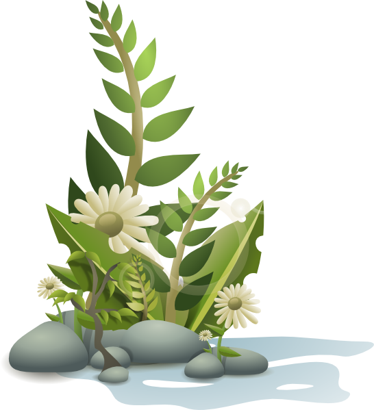 free vector Andy Plants Pebbles And Flowers clip art