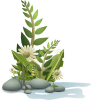 free vector Andy Plants Pebbles And Flowers clip art