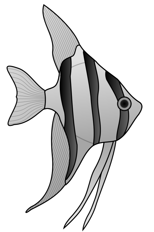 free vector Angelfish